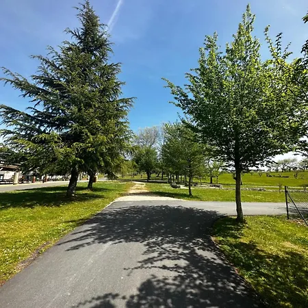 Monte Do Gozo ホステル